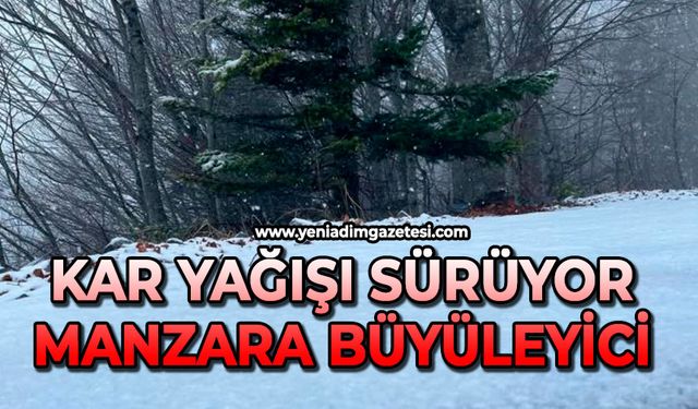 Kar yağışı sürüyor: Manzara büyüleyici