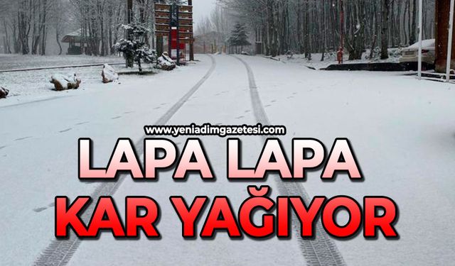 Lapa lapa kar yağıyor