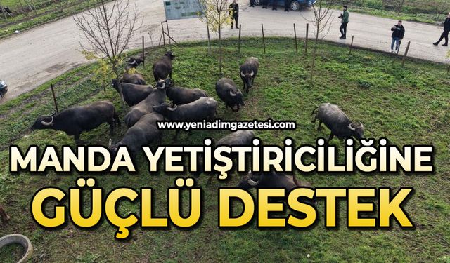 Manda yetiştiriciliğine güçlü destek