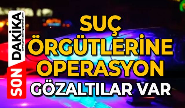 Suç örgütlerine operasyon: Gözaltılar var