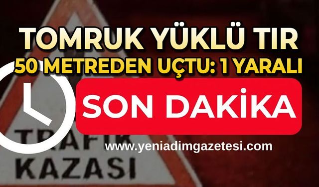 Tomruk yüklü tır 50 metreden uçtu: 1 yaralı