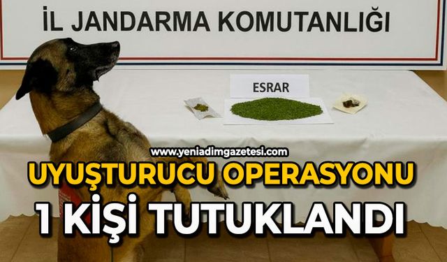 Uyuşturucu operasyonu: 1 kişi tutuklandı