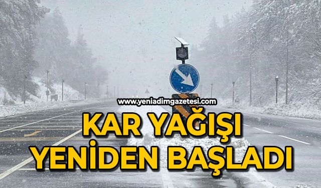 Kar yağışı yeniden başladı
