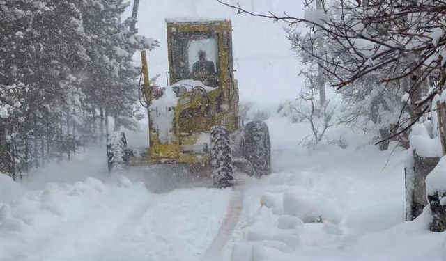 Yolu kapanan köy sayısı 115'e yükseldi