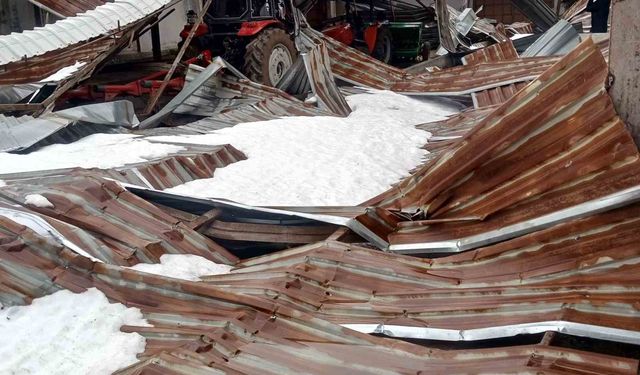 Kar birikintisi mandıra çatısını çökertti