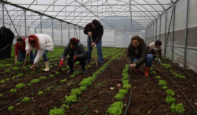 Tarım Akademisi'nde 16-55 yaş arası aday çiftçilere eğitim