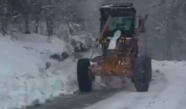 Kar küreme çalışmaları başladı