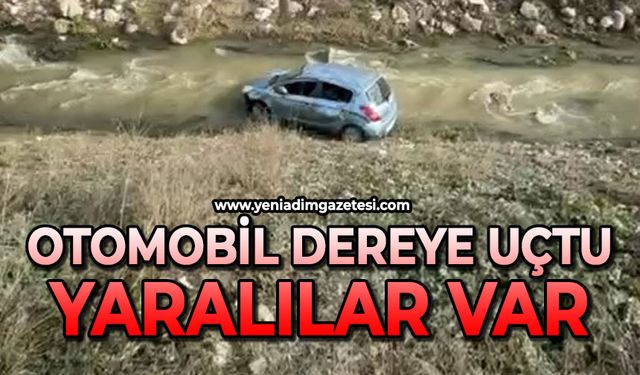 Otomobil dereye uçtu: Yaralılar var