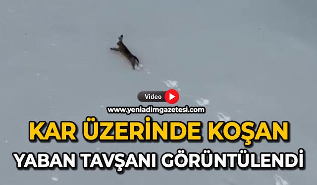 Kar üzerinde koşan yaban tavşanı görüntülendi