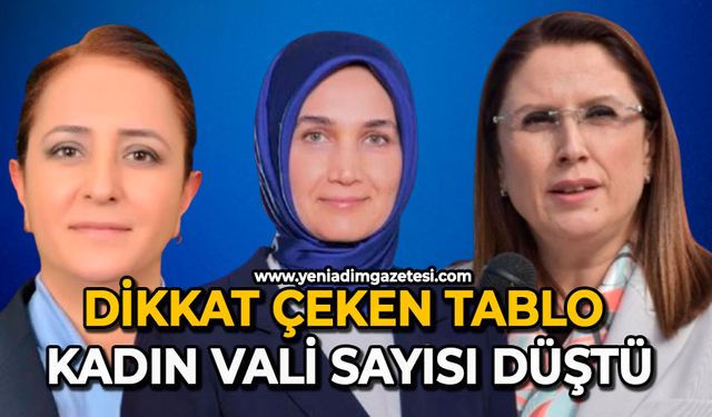 Dikkat çeken tablo: Kadın vali sayısı düştü