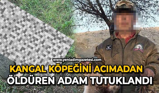 Kangal köpeğini acımadan öldüren adam tutuklandı