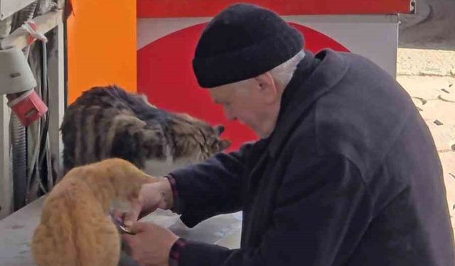 Yaşlı adamın sokak kedilerine şefkati yürekleri ısıttı