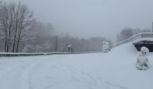 Kocaeli'nin yüksek kesimlerine lapa lapa kar yağıyor
