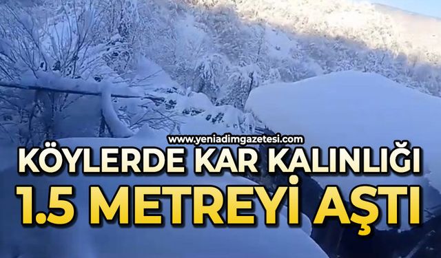 Köylerde kar kalınlığı 1.5 metreyi aştı