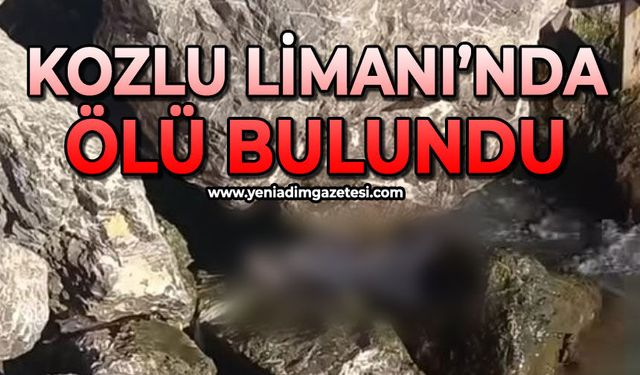 Kozlu Limanı'nda ölü bulundu