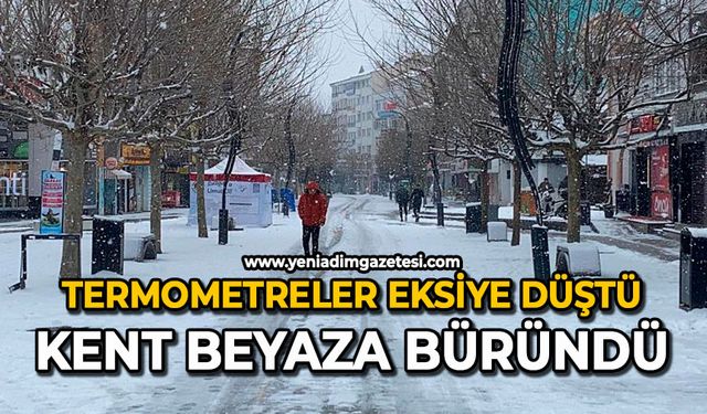 Termometreler eksiye düştü: Kent beyaza büründü