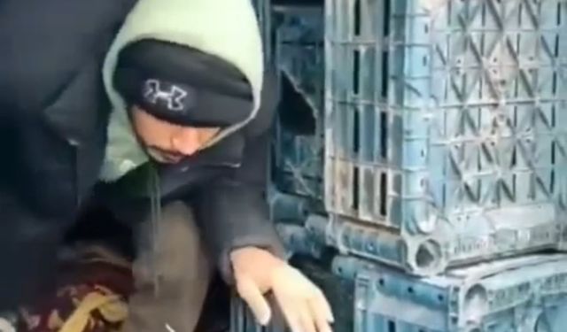 13 düzensiz göçmen yakalandı