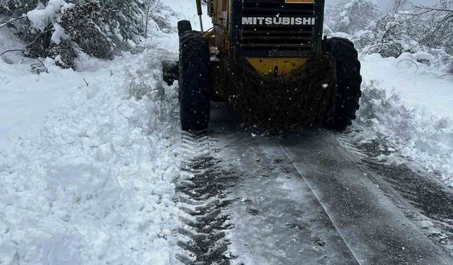 Bartın'da karla mücadele çalışmaları devam ediyor