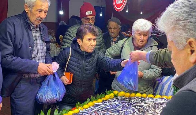 Bolu'da balık tezgahlarında hamsi bolluğu