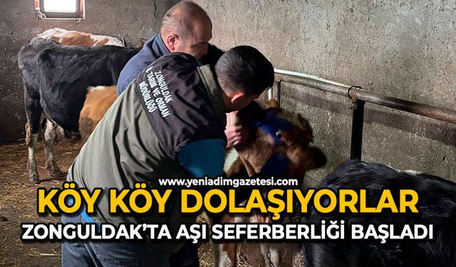Köy köy dolaşıyorlar: Zonguldak’ta aşı seferberliği başladı