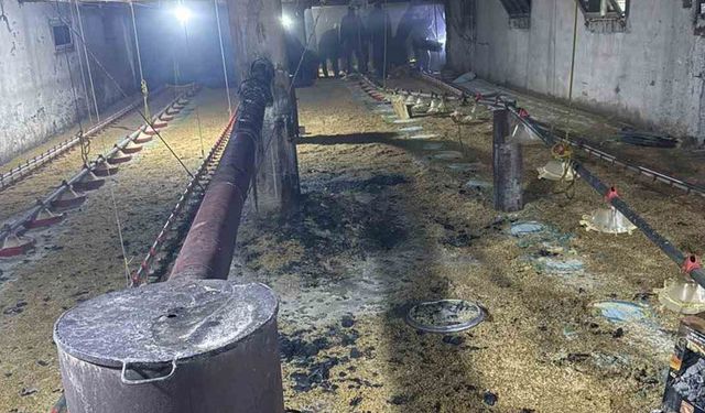 Kümes yangını büyümeden söndürüldü