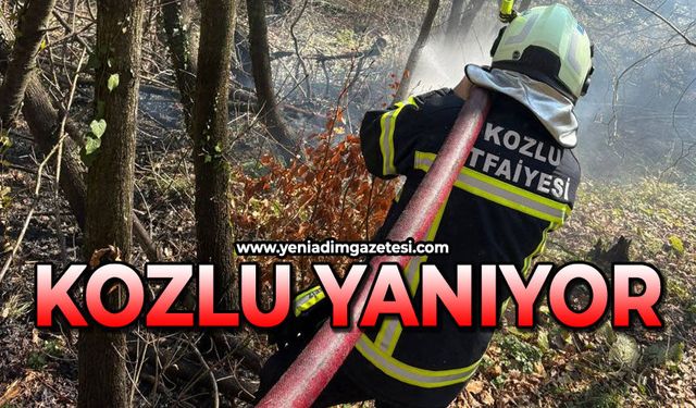 Kozlu yanıyor!