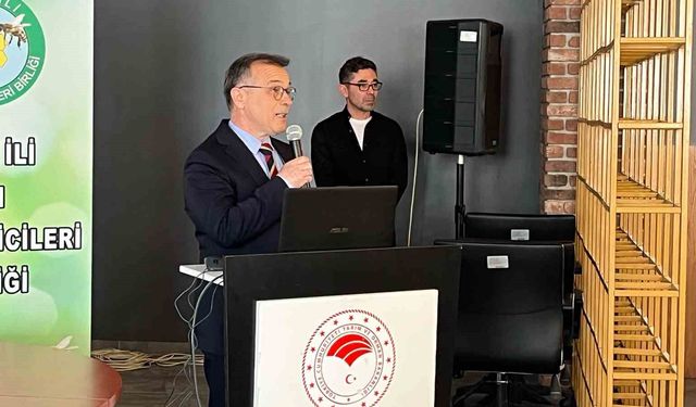'Bolu İli Türkiye'de arıcılık sektörü için çok kıymetli'