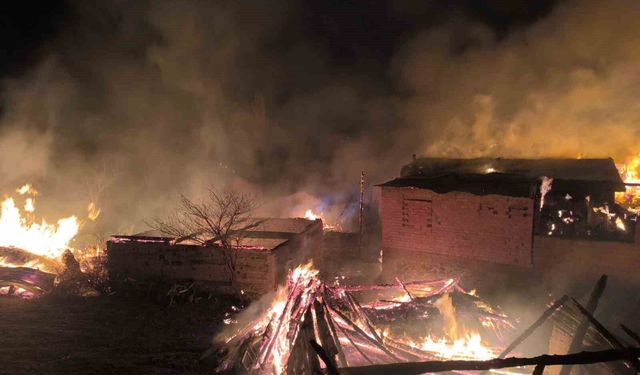 Çıkan yangında çok sayıda yapı küle döndü