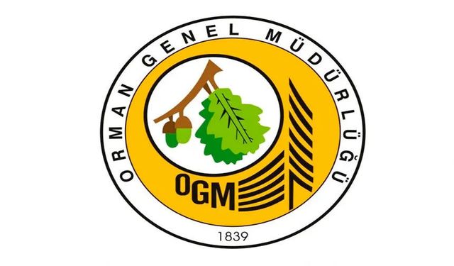 Yayla Orman İşletme Şefliği 256 kod nolu yolda üst yapı yapım işi