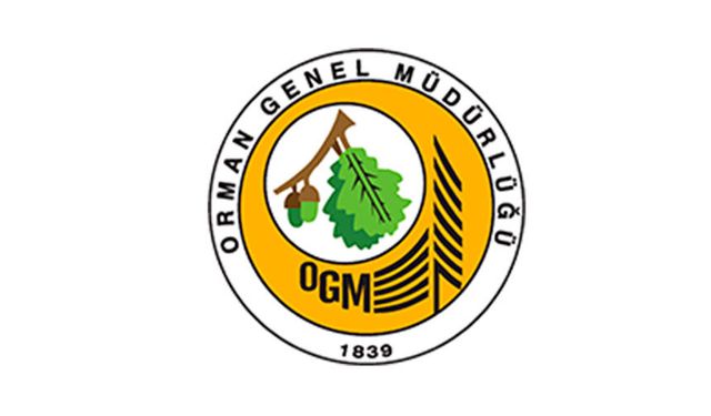 Devrek Orman İşletme Müdürlüğü Beldibi Şefliği 018 kod nolu yeni yol yapım işi