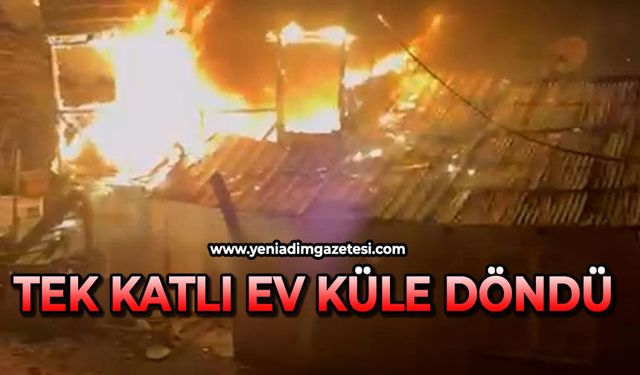 Tek katlı ev küle döndü