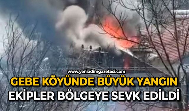 Gebe köyünde büyük yangın: Ekipler bölgeye sevk edildi