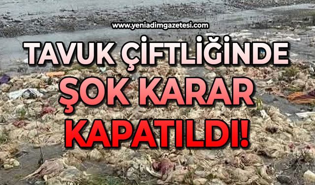 Tavuk çiftliğinde şok karar: Kapatıldı!