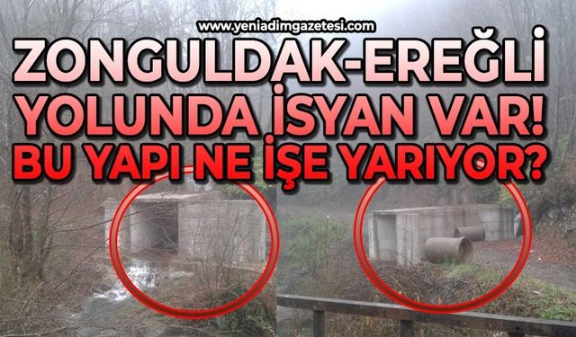 Zonguldak-Ereğli yolunda isyan var: Bu yapı ne işe yarıyor?