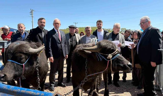 Manda yetiştiricilerine 3,4 milyon liralık destek