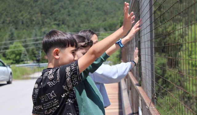 Bayram dönüş yolunda trafik çilesi, çocukların eğlencesi oldu