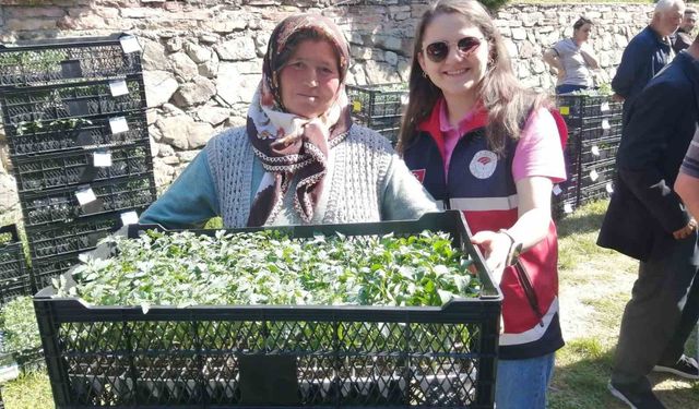 Çiftçilere 30 bin fide dağıtıldı