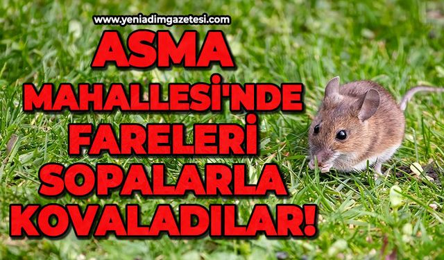 ZONGULDAK