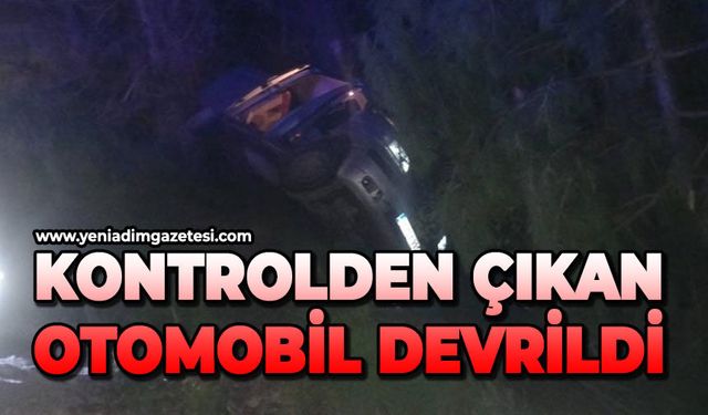 Kontrolden çıkan otomobil devrildi: 1 yaralı