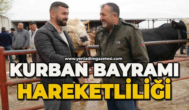 Kurban Bayramı hareketliliği: 850 kilogramlık tosun 340 bin liraya alıcı buldu