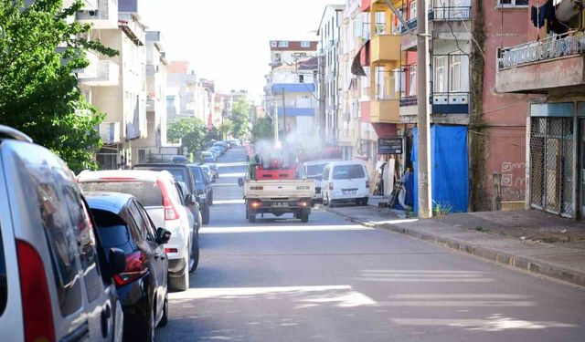 Daha rahat bir yaz için vektörle mücadeleye hız verildi