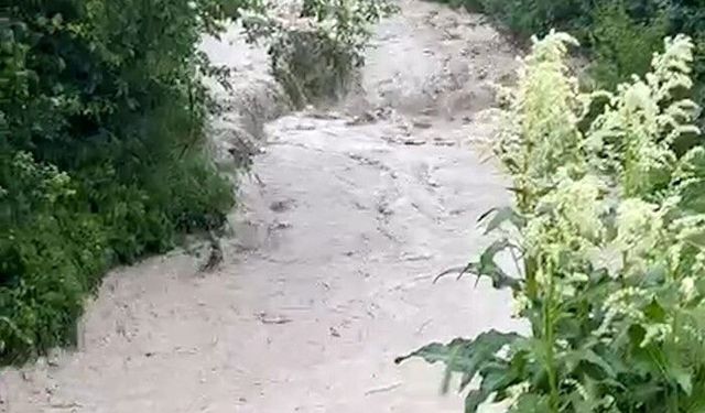 Dereler taştı, tarım arazileri sular altında kaldı