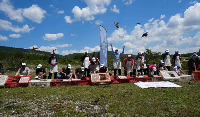 Doğaya bin 200 kınalı keklik salındı