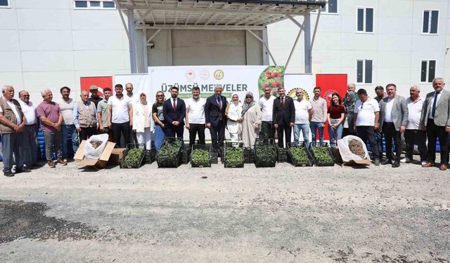 Düzce çiftçisine fide ve damla sulama sistemi desteği