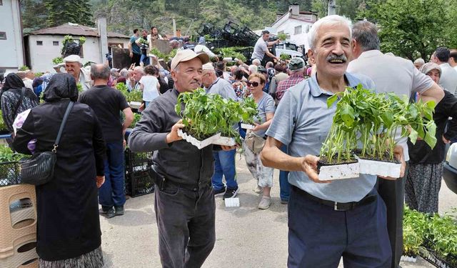 Ücretsiz fide dağıtımına yoğun katılım