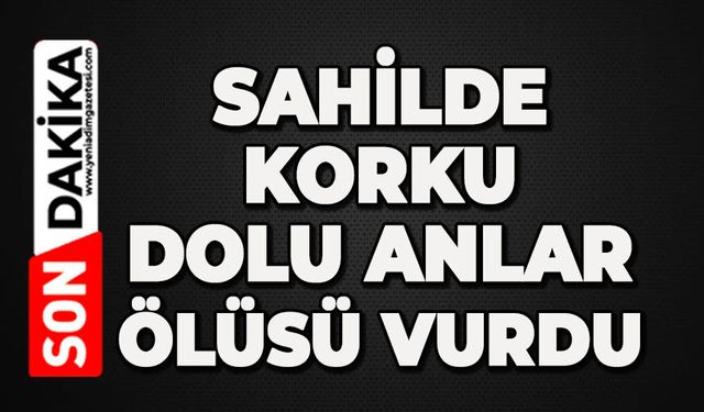 Korku dolu anlar: Ölüsü sahile vurdu
