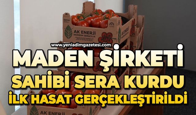 Maden şirketi sahibi sera kurdu: İlk hasat gerçekleştirildi