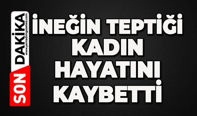 GENEL
