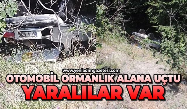 Otomobil ormanlık alana uçtu: Yaralılar var