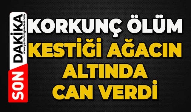 GENEL